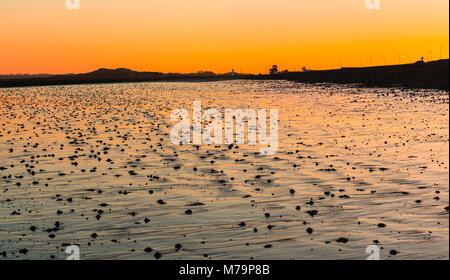 Einsame Strand bei Ebbe nach Sonnenuntergang mit wattwurm Gussteile und Orange Red Sky in den Sand widerspiegelt, in Großbritannien. Stockfoto