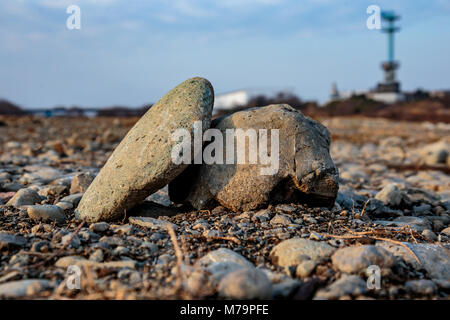 Ein paar große Steine Rest unter den kleineren Kieselsteinen entlang der Sagami River in der Nähe von Ebina in Kanagawa, Japan Stockfoto