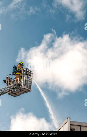 Feuerwehrmann mit Löschschlauch bei der Arbeit auf einer Leiter Stockfoto