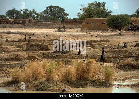 Jungen, die Lehmziegel in einem kleinen, ländlichen Dorf. Region Mopti, Mali, Westafrika. Stockfoto