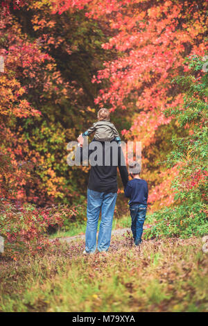 Vater mit seinen Söhnen im Herbst Park, South Australia Stockfoto