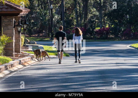 Florida Paar unter einem morgendlichen Spaziergang in der Nachbarschaft mit ihren Hunden bei Sawgrass Players Club, einer Gated Community in Ponte Vedra Beach, Florida. Stockfoto