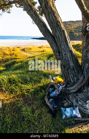 Wurf unter Baum neben dem Tapotupotu Bay Campground, der nächste Campingplatz zum Cape Reinga, North Island, Neuseeland Stockfoto