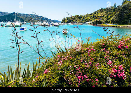 Marina an der Whangaroa, North Island, Neuseeland Stockfoto