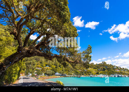 Baum überhängenden Straße mit Blick in Richtung der Marina an der Whangaroa, North Island, Neuseeland Stockfoto