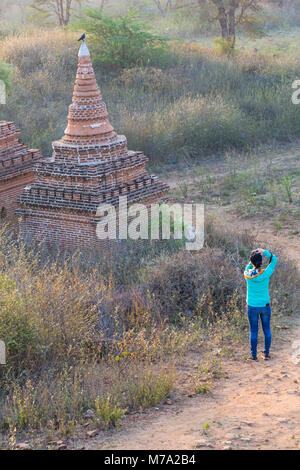 Besucher ein Foto von Bagan Tempel am frühen Morgen Licht, am gemauerten Damm in der Nähe von Taungbi Dorf in Bagan, Myanmar (Birma), Asien im Februar Stockfoto