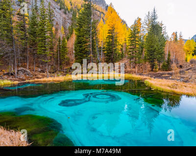 Bäume im Herbst sind wunderschön wider ein bisschen wie eine schreiende Gesicht im türkisfarbenen Wasser der Märchen Geysir See mit erstaunlichen Thermalquellen. Stockfoto