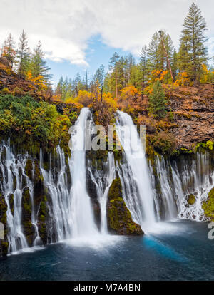 Schönen Wasserfall im Herbst, mit grünen und gelben Bäume bei Mc Arthur-Burney fällt Memorial State Park, im Shasta County, Nordkalifornien. Stockfoto