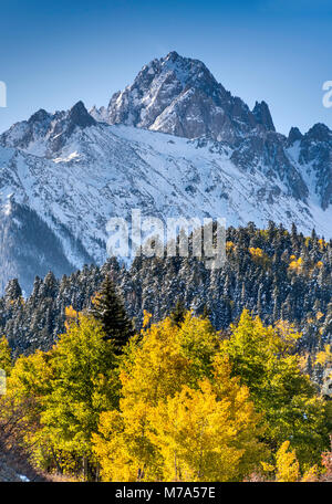 Mount Sneffels unter Schnee, Aspen Grove im späten Herbst, Ansicht von Dallas Creek Road, San Juan Berge, Rocky Mountains, Colorado, USA Stockfoto
