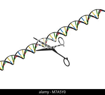 Schere schneiden DNA-Strang, Gentechnik, 3D-Rendering, isoliert auf weißem Stockfoto