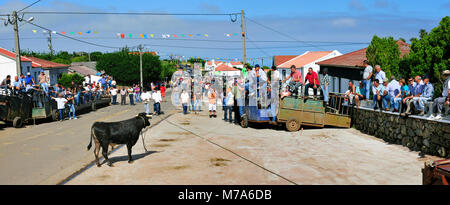 Traditionelle Feste in São Tomé und Príncipe (Bodo de Leite). São Jorge, Azoren, Portugal Stockfoto