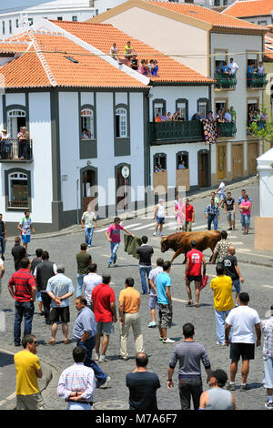 Stierkampf Tag (tourada à Corda). Angra do Delgada, einem UNESCO-Weltkulturerbe. Auf der Insel Terceira, Azoren. Portugal Stockfoto