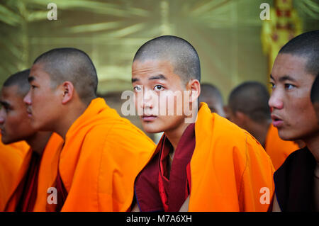 Tibetische Mönche in Bodhgaya, Indien Stockfoto