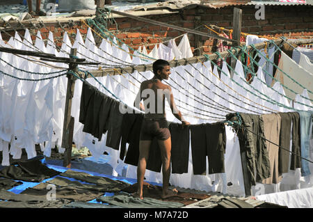 Dhobi Ghats von Mumbai, wo Inder die Wäsche machen. Es ist ein Open air Waschsalon, wo die Scheiben, als Dhobis, saubere Kleidung und Bettwäsche bekannt. Indi Stockfoto