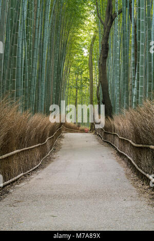 Am frühen Morgen Szene, Bewegung verwischt Touristen zu Fuß entlang dem Pfad an Sagano Arashiyama Bambuswald in Kyoto, Japan Stockfoto