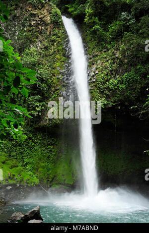 Der Wasserfall La Fortuna sticht als eine der spektakulärsten Wasserfälle in Costa Rica. Stockfoto