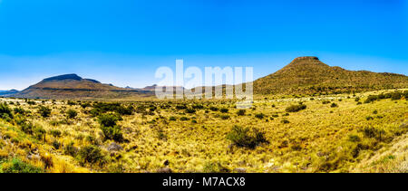 Endlose Weiten, offenen Landschaft der Halbwüste Karoo Region im freien Staat und Provinzen Eastern Cape in Südafrika unter blauem Himmel Stockfoto