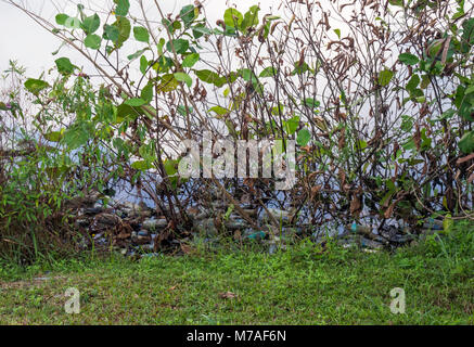 Plastikflaschen umweltschädliche am Ufer des künstlichen See im Ketam Steinbruch auf der Insel Palau Ubin, Singapur gefüllt. Stockfoto