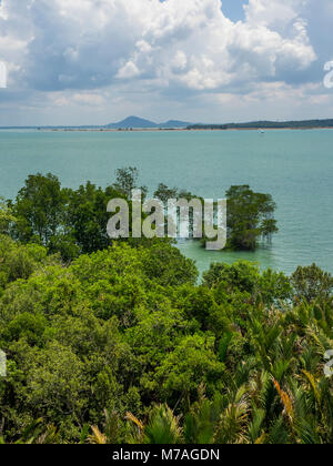 Der Blick auf die Mangroven, das Meer und die vorgelagerten Insel vom Jejawi Turm ein beliebter Aussichtsturm in Chek Jawa Feuchtgebiete, Pulau Ubin Insel, Singapur. Stockfoto