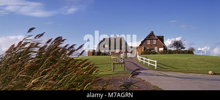 Westerwarft auf der Hallig Hooge, Nordseeküste, Schleswig-Holstein, Wattenmeer, die Nordfriesen, Schleswig-Holstein, Deutschland, Stockfoto