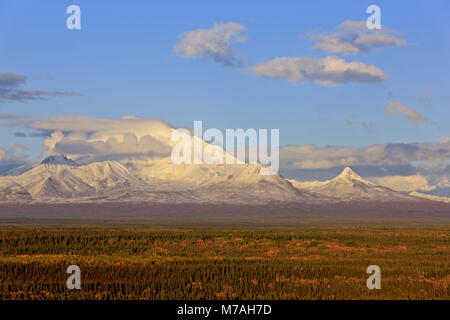 Nordamerika, USA, Alaska, der Central South, Wrangell Mountains, Wrangell St. Elias National Park, Mount Drum (3661 m), Stockfoto