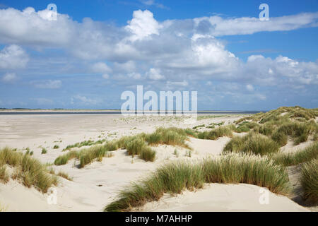 Blick über Strand und Dünen im Osten der Insel Baltrum zur benachbarten Insel Langeoog. Stockfoto