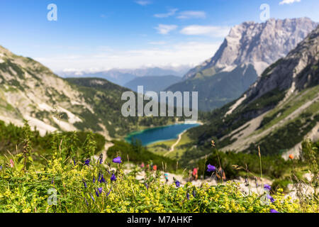 Österreich, Tirol, Mieminger Kette, Coburger Hütte, Enzian mit Sebensee und Zugspitze im Hintergrund Stockfoto