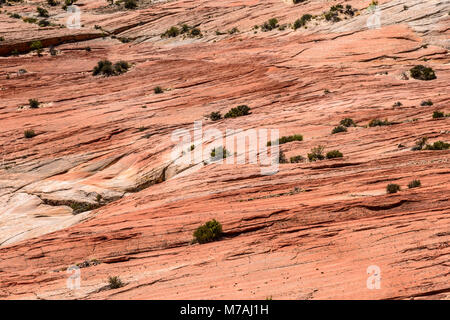 Die USA, Utah, Garfield County, Grand Staircase-Escalante National Monument, Escalante, Landschaften in den Scenic Byway 12. Stockfoto