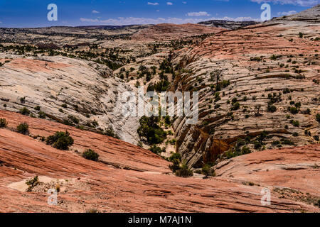 Die USA, Utah, Garfield County, Grand Staircase-Escalante National Monument, Escalante, Landschaften in den Scenic Byway 12. Stockfoto