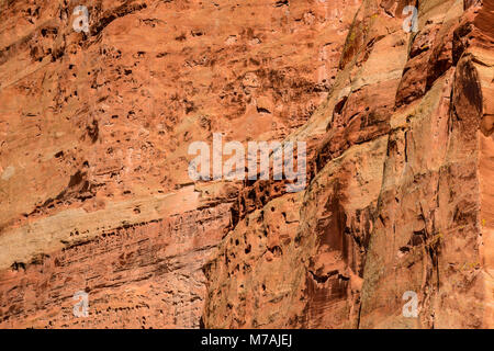 Die USA, Utah, Wayne County, Torrey Capitol Reef National Park, Cohab Canyon Stockfoto