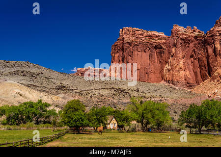 Die USA, Utah, Wayne County, Torrey Capitol Reef National Park, Fremont River Valley, Fruita Historic District, Gifford Homestead mit Fruita Klippen Stockfoto