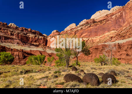 Die USA, Utah, Wayne County, Torrey Capitol Reef National Park, Fremont River Valley, Fruita, Landschaft am Visitor Center Stockfoto