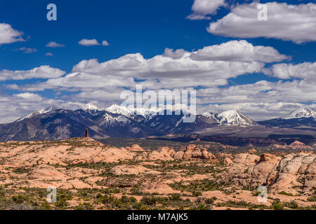 Die USA, Utah, Grand County, Moab, Arches National Park, Petrified Dunes in Richtung La Sal Mountains Stockfoto