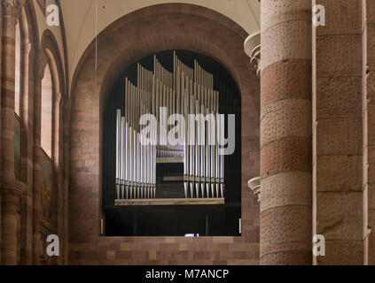 Speyer Kaiserdom/Dom, UNESCO-Weltkulturerbe, die Orgel in der Kathedrale Stockfoto