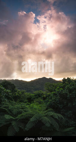 Blick über den Yunque Regenwald während epic Sonnenaufgang auf der karibischen Insel Puerto Rico Stockfoto