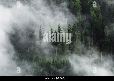 Misty Stimmung in den Dolomiten mit Teleobjektiv, Italien Stockfoto