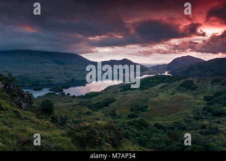 Schließen Damen Ansicht im Nationalpark Killarney, Kerry, Irland Stockfoto