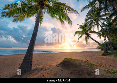 Malerische Sonnenaufgang an einem karibischen Strand der Insel Puerto Rico, Stockfoto