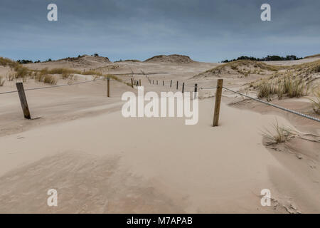 Europa, Polen, Pommern, Wanderdünen im Slowinski-nationalpark Stockfoto