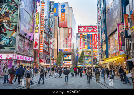 Japan, Tokyo City, Akihabara Bezirk, Akihabara Geschürr... Stadt Stockfoto