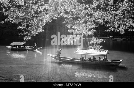 Japan, Kyoto City, Arashi Yama, Blätter im Herbst Stockfoto