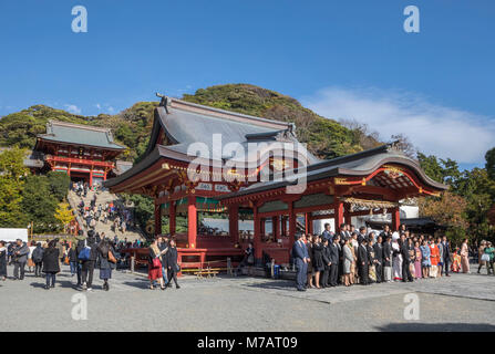 Japan Kamakura Stadt, Tsurugaoka Hachimangu Schrein Stockfoto