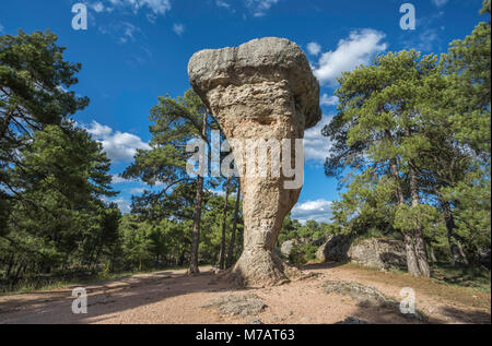 Spanien, Cuenca, Stadt, in der Nähe von Cuenca, die verzauberte Stadt, geologischen Park Stockfoto