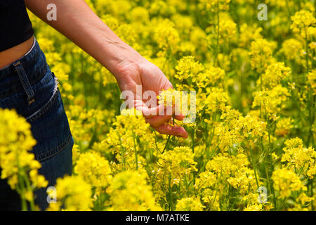 Den mittleren Abschnitt Blick auf eine junge Frau Kommissionierung eine Blume Stockfoto