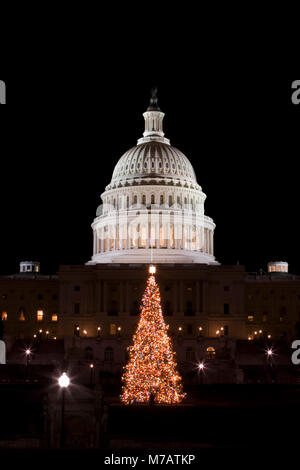 Weihnachtsbaum vor einer Regierung, Gebäude, Kapitol, Washington DC, USA Stockfoto