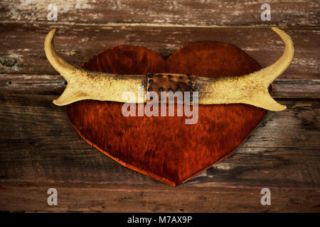 Nahaufnahme einer Jagd Trophäe Wandmontage, Old Trail Town, Cody, Wyoming, USA Stockfoto