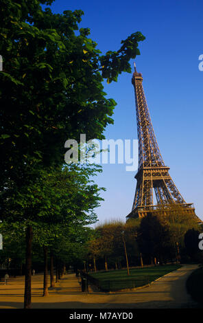 Bäume vor einem Turm, Eiffelturm, Paris, Frankreich Stockfoto