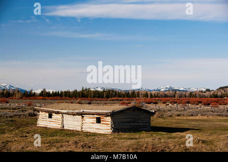 Scheune in einem Feld mit einer Bergkette im Hintergrund, Yellowstone National Park, Wyoming, USA Stockfoto