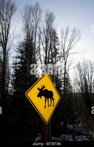 Elch-Warnung-Schild in einem Wald, Grand-Teton-Nationalpark, Wyoming, USA Stockfoto