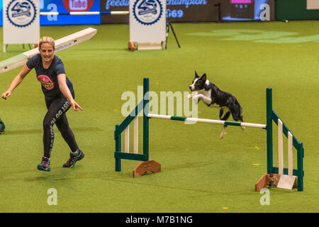 Birmingham, Großbritannien. 9 Mär, 2018. Der crufts Dog Show in Birmingham UK. agility Hunde Wettbewerb in der Main Arena in diesem Jahr auf der Crufts Dog Show Birminghams am NEC. Credit: charlie Bryan/Alamy leben Nachrichten Stockfoto